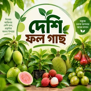 দেশি ফল গাছ