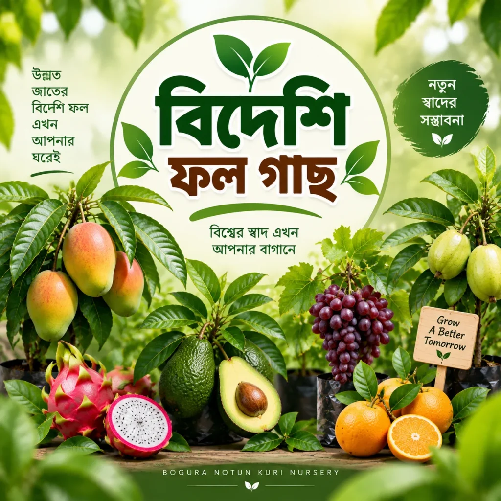 বিদেশি ফল গাছ