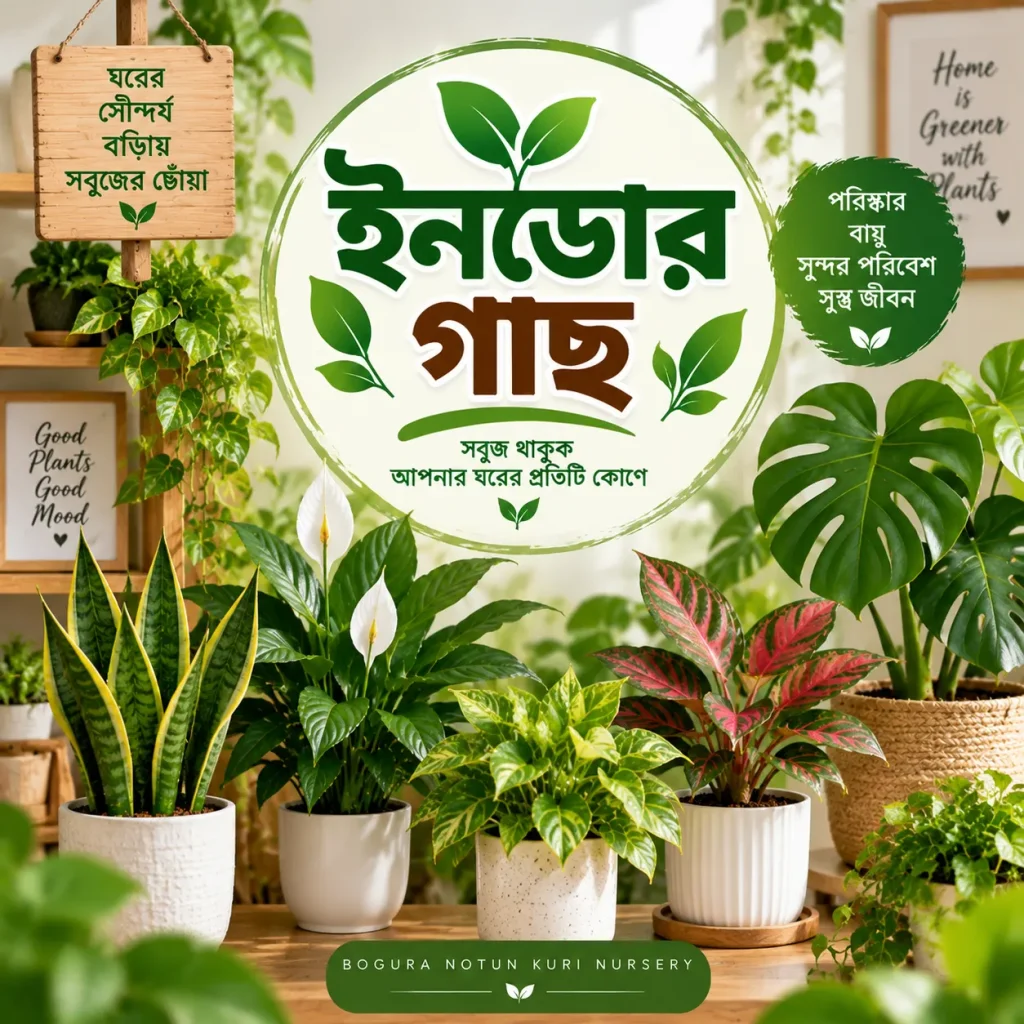 ইনডোর গাছ