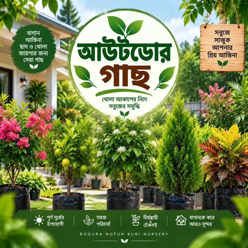 আউটডোর গাছ