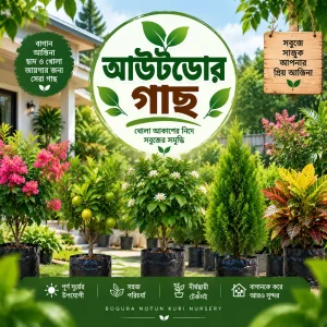 আউটডোর গাছ