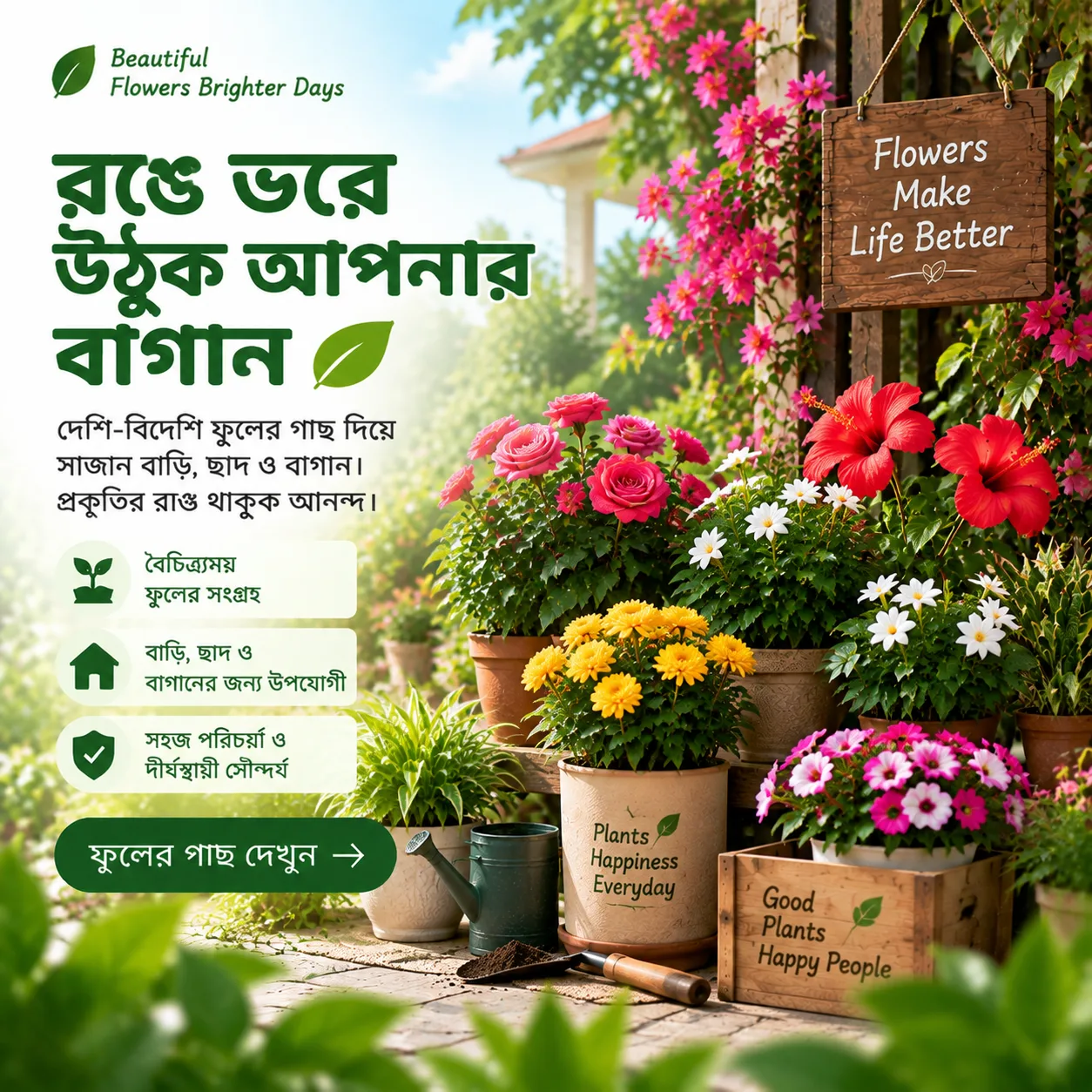 Offer-3