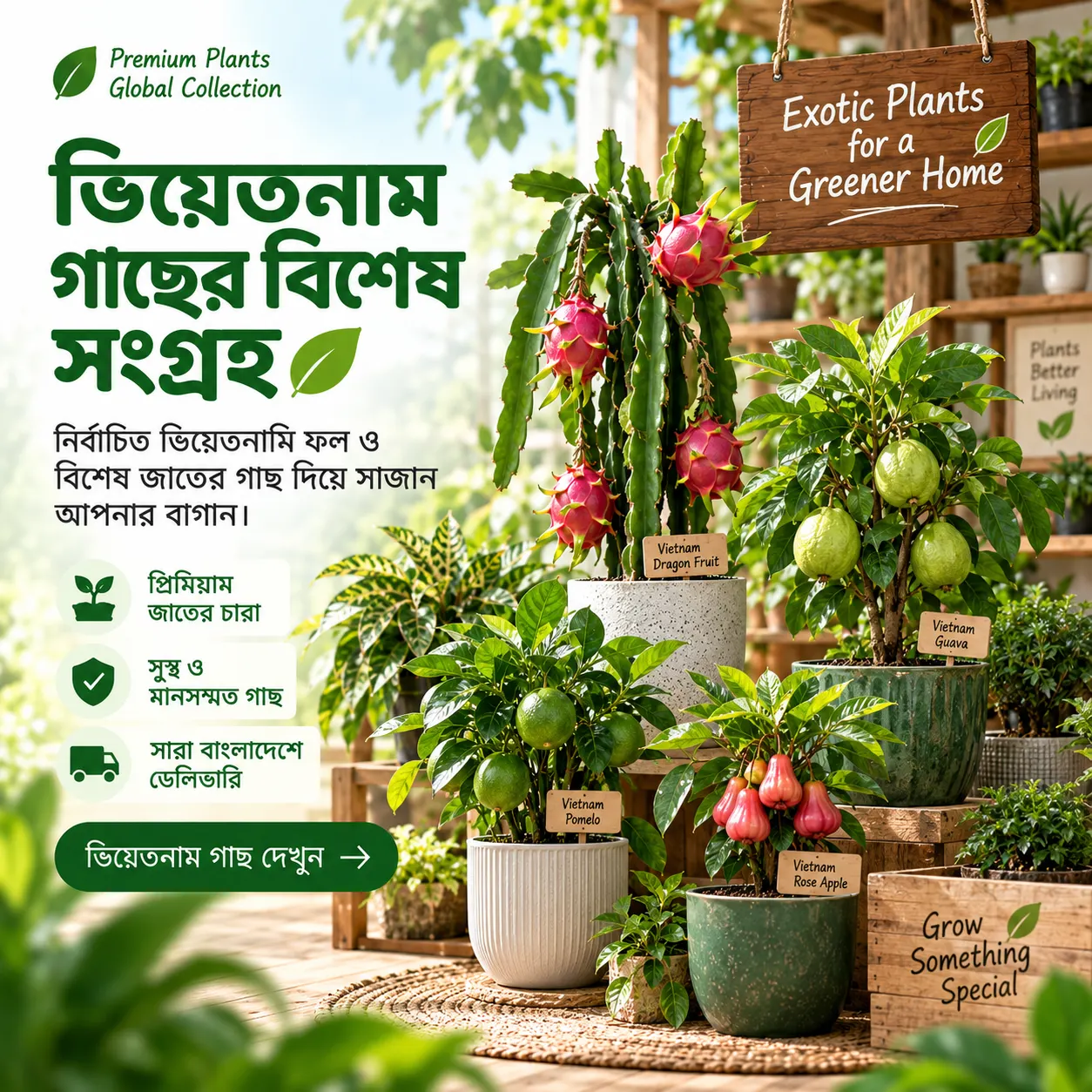 Offer-4