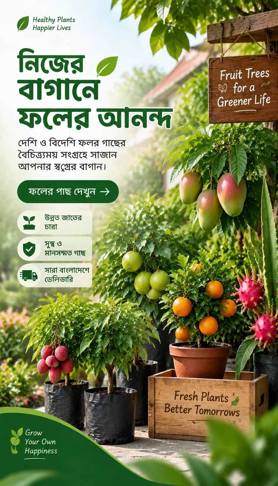 Offer-5