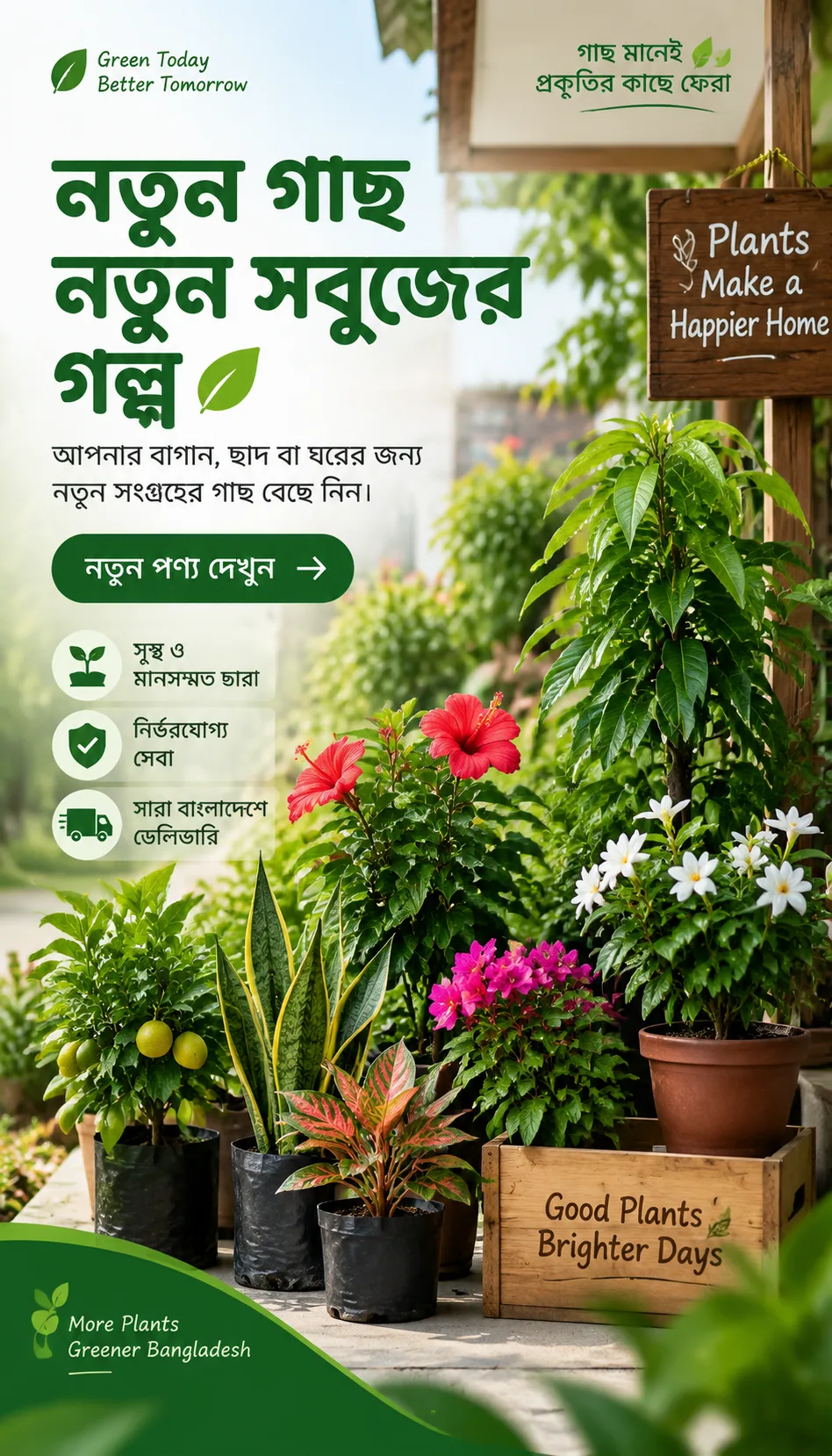 Offer-9