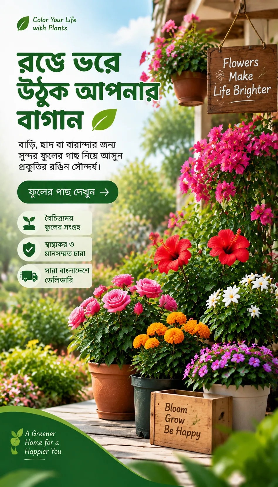 Offer-8